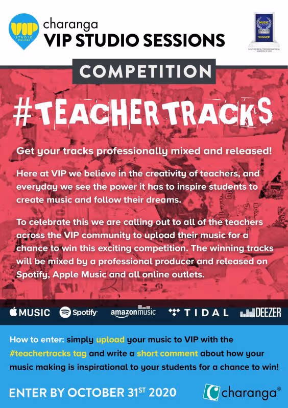 VIP Teacher Tracks Flyer