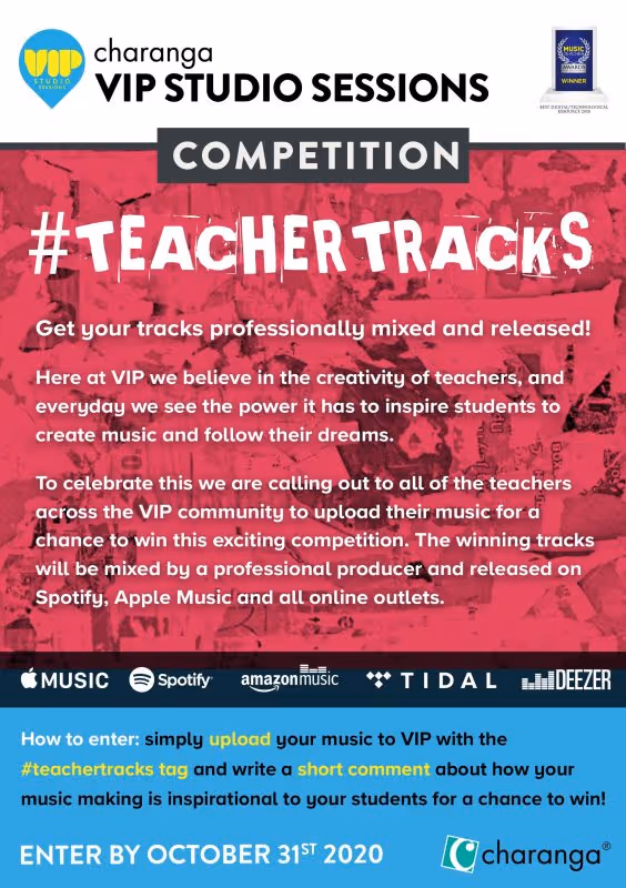 VIP Teacher Tracks Flyer
